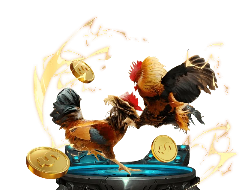 Quy trình đăng ký tài khoản arne